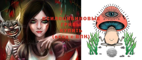 2c-b Вяземский
